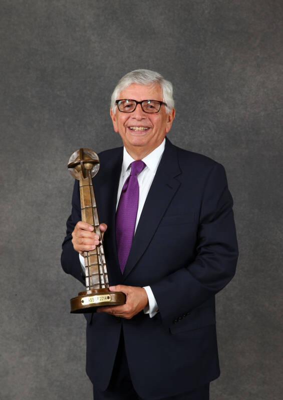 斯特恩传:全球首本大卫·斯特恩全景人特传记