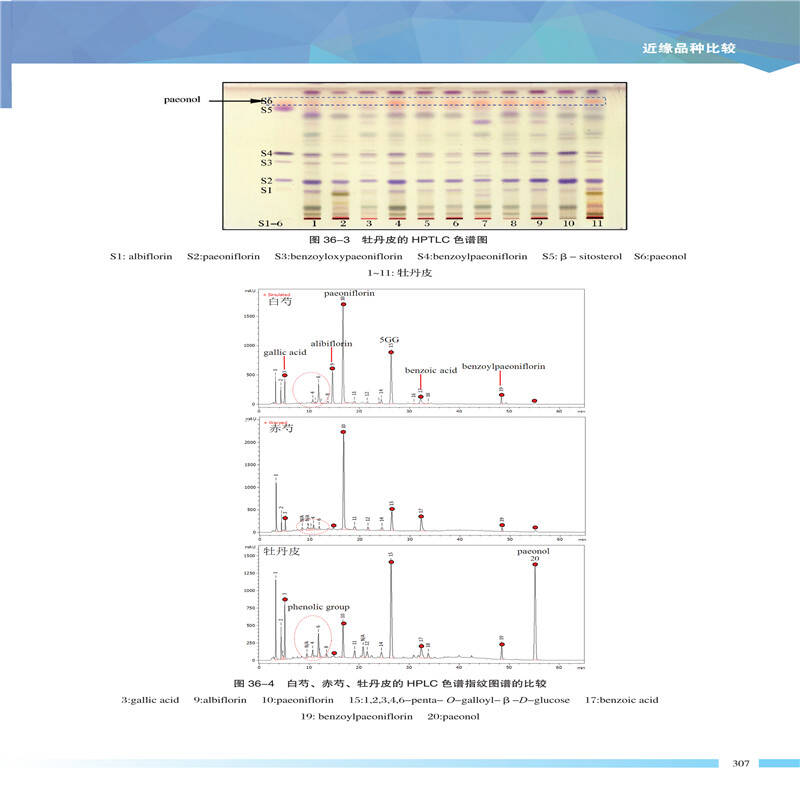 中药色谱指纹图谱精细分析图集