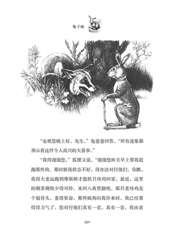 國際大獎兒童小說:兔子坡