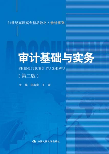 审计基础与实务（第二版）/21世纪高职高专精品教材·会计系列