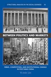 Between Politics And Markets