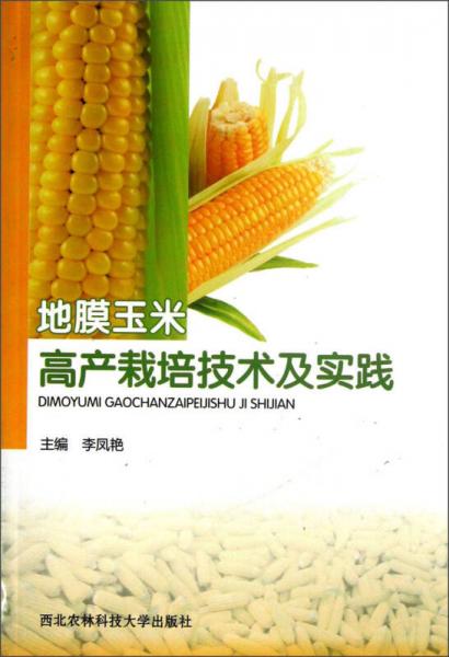 地膜玉米高產(chǎn)栽培技術(shù)及實踐