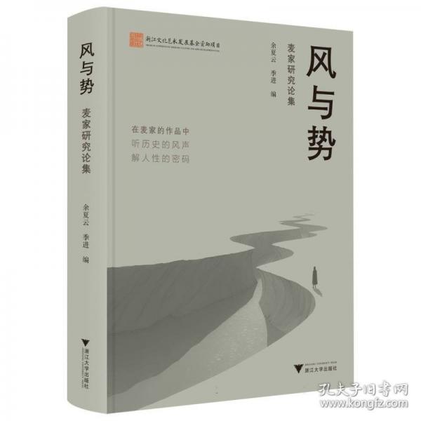 风与势 麦家研究论集