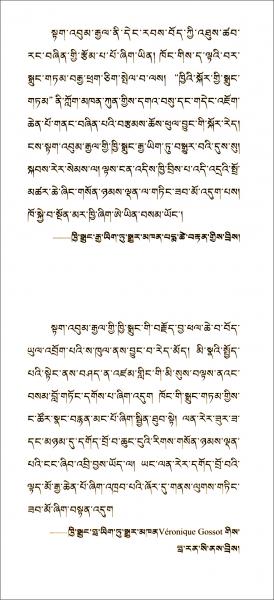 藏獒：德本加狗系列小说（藏文）