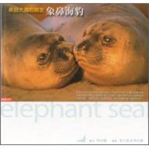 來自大海的朋友：象鼻海豹
