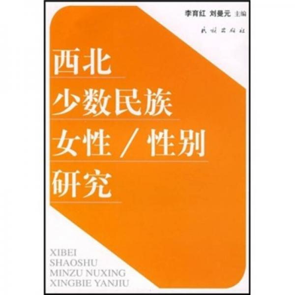 西北少数民族女性性别研究