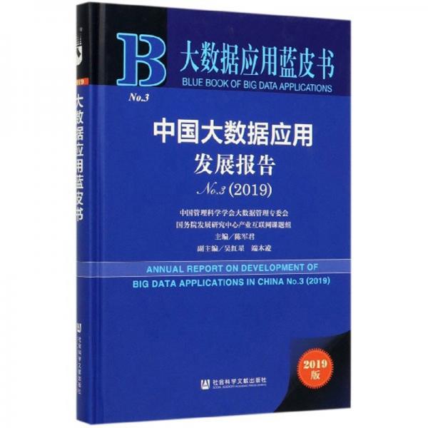 中国大数据应用发展报告（No.32019）/大数据应用蓝皮书