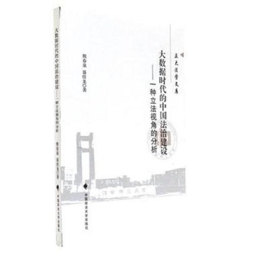 大數(shù)據(jù)時代的中國法治建設——一種立法視角的分析