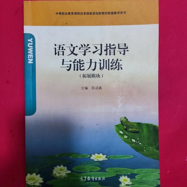 語文學(xué)習(xí)指導(dǎo)與能力訓(xùn)練