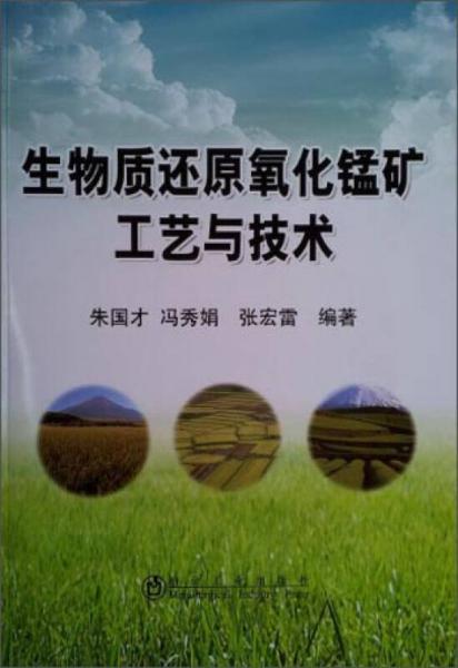 生物質(zhì)還原氧化錳礦工藝與技術(shù)