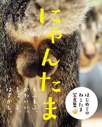 にゃんたま