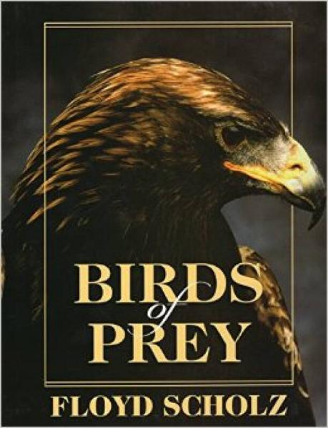 Birds of Prey