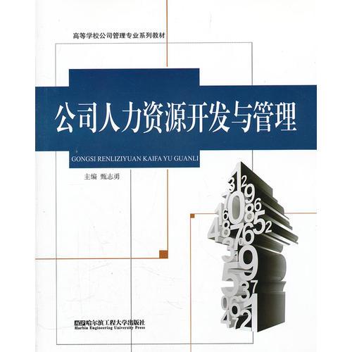 (BB)公司人力資源開發(fā)與管理(高校公司管理系列)