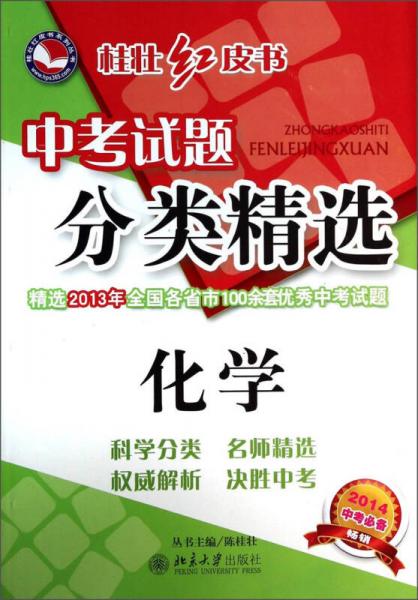 桂壯紅皮書·中考試題分類精選：化學(xué)