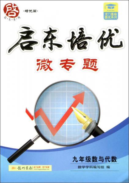 启东系列：启东培优微专题 九年级数与代数（2015年秋季使用）