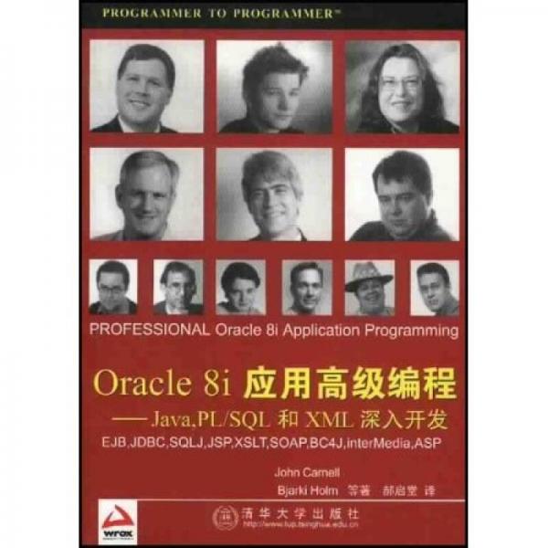 Oracle8i应用高级编程：Java PL、SQL和XML深入开发