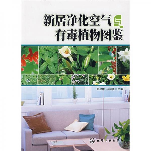 新居凈化空氣與有毒植物圖鑒