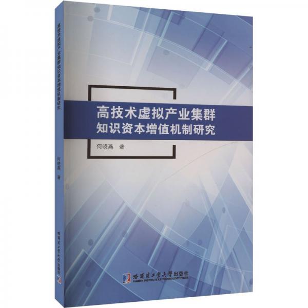 高技术虚拟产业集群知识资本增值机制研究 何晓燕 著