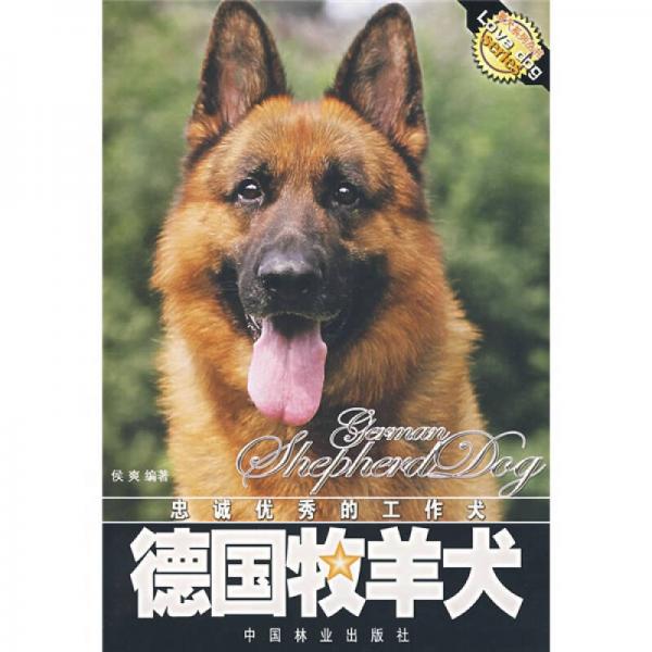 德国牧羊犬