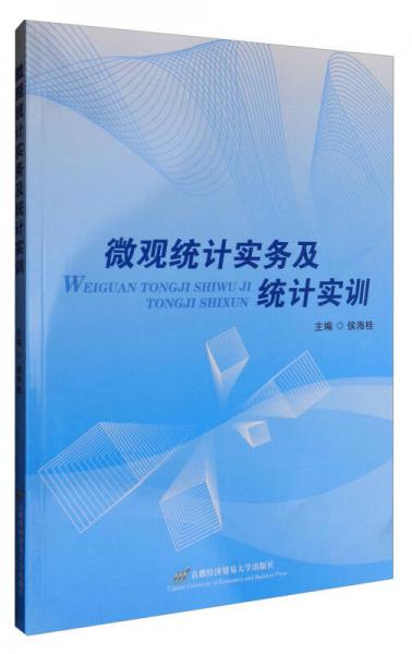 微觀統(tǒng)計實(shí)務(wù)及統(tǒng)計實(shí)訓(xùn)