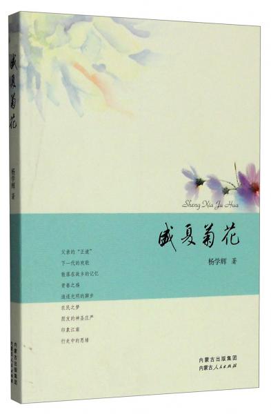 盛夏菊花