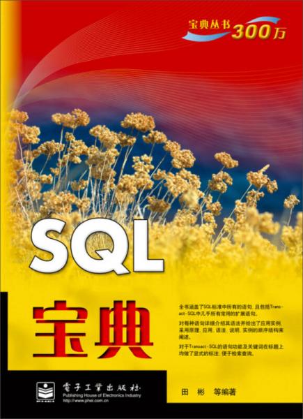 宝典丛书：SQL宝典