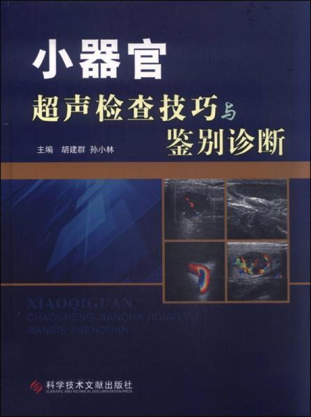 小器官超声检查技巧与鉴别诊断