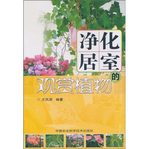 凈化居室的觀賞植物
