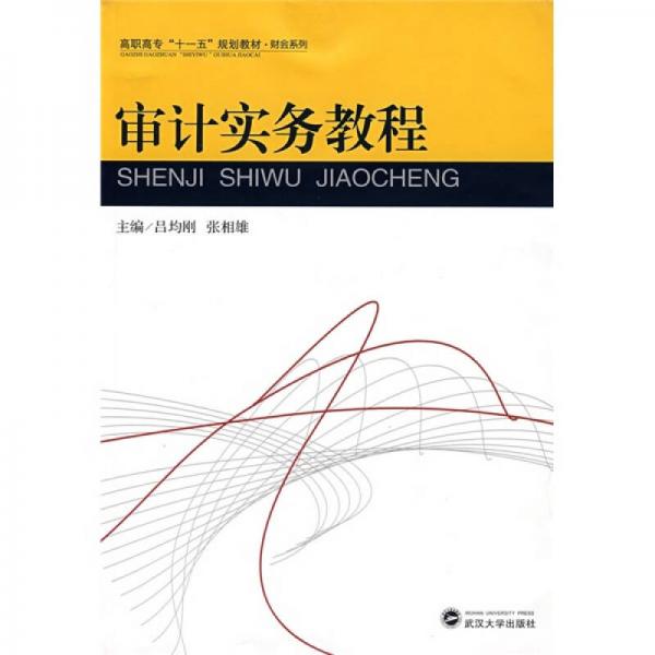 審計實務(wù)教程