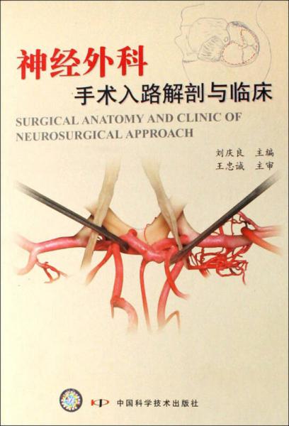 神经外科手术入路解剖与临床