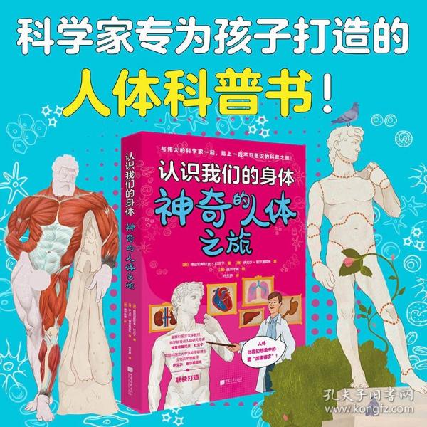 認(rèn)識(shí)我們的身體（套裝2冊）：神奇的人體之旅+神奇的大腦與神經(jīng)