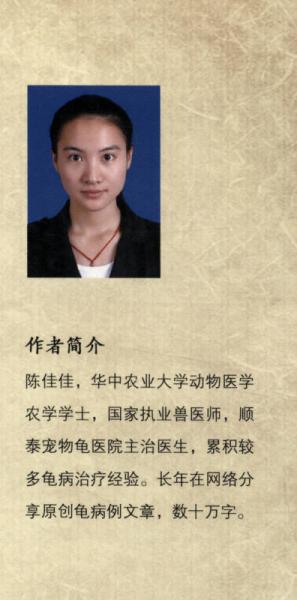 宠物龟护理与疾病