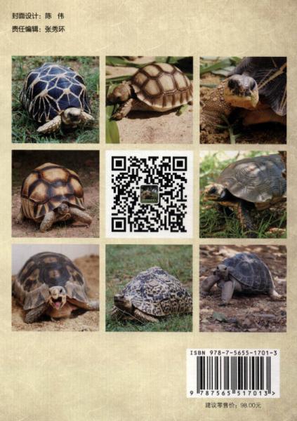 宠物龟护理与疾病