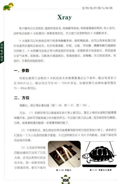 宠物龟护理与疾病