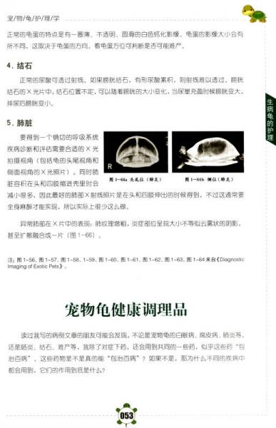 宠物龟护理与疾病