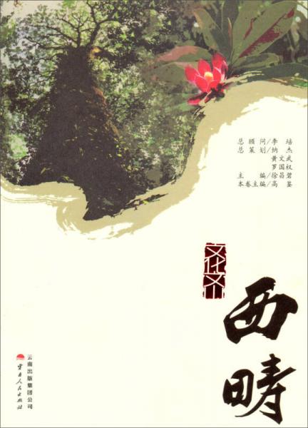 文化文山：西畴