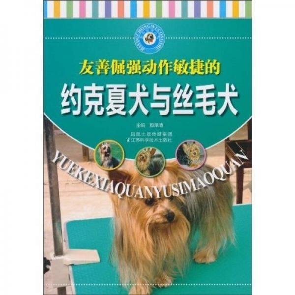 友善倔强动作敏捷的约克夏犬与丝毛犬