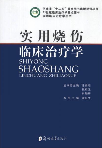 實用臨床治療學(xué)叢書：實用燒傷臨床治療學(xué)