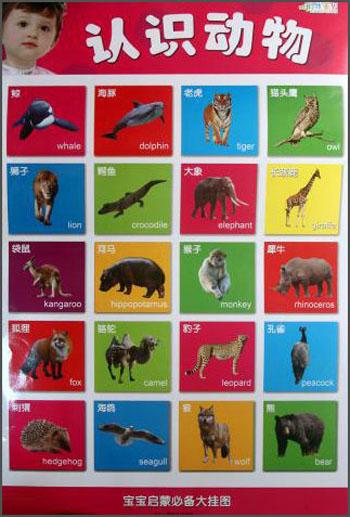 寶寶啟蒙必備大掛圖——認識動物
