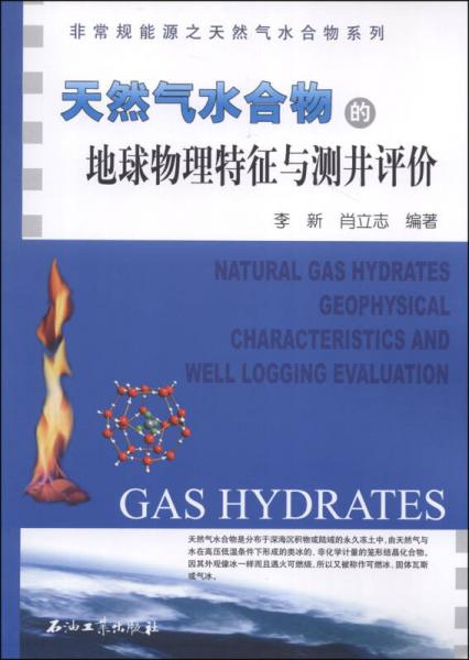 非常規(guī)能源之天然氣水合物系列：天然氣水合物的地球物理特征與測井評價