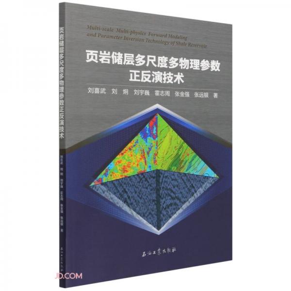 頁巖儲層多尺度多物理參數(shù)正反演技術(shù)