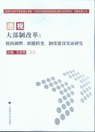 透视大部制改革：机构调整.职能转变.制度建设实证研究