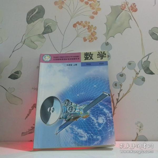 數(shù)學(xué)彩色版九年級上
