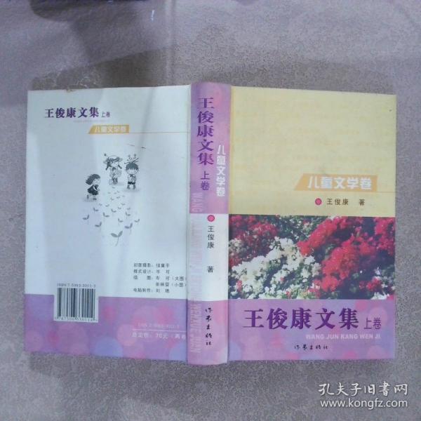 王俊康文集