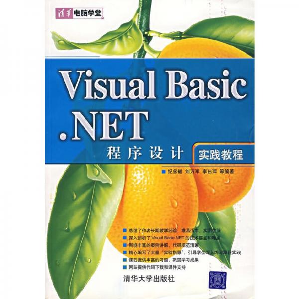 Visual Basic.NET程序設計實踐教程