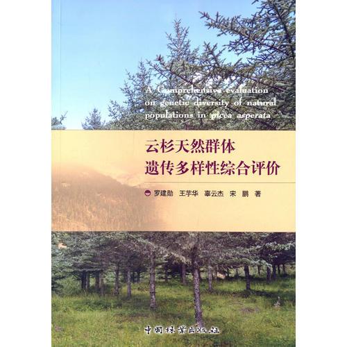 云杉天然群体遗传多样性综合评价