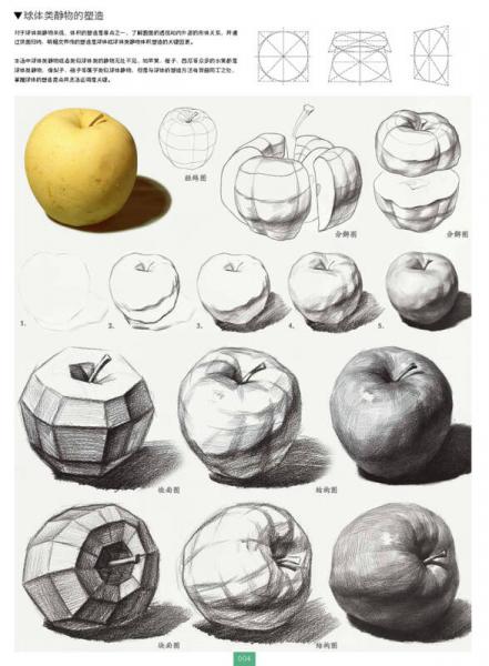 画策——素描静物