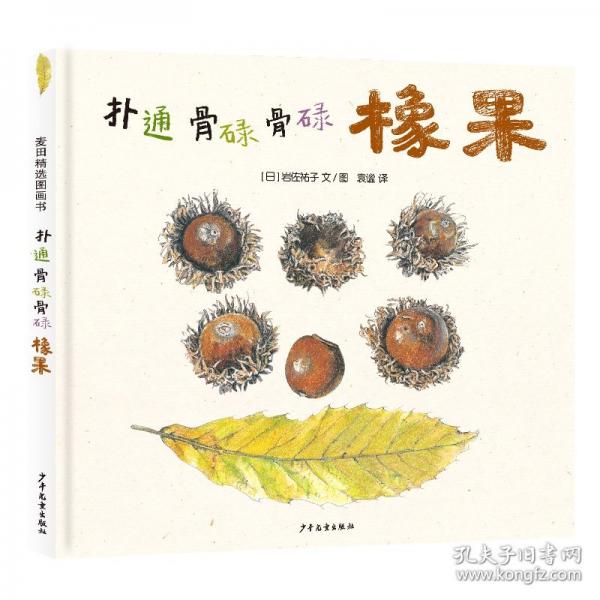 麥田精選圖畫書 撲通