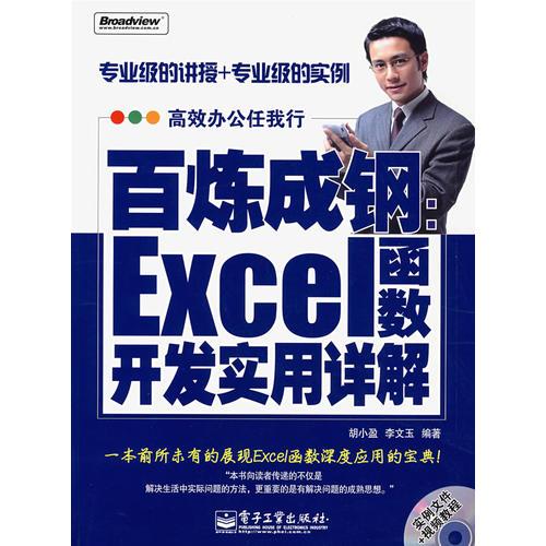 百煉成鋼：Excel函數(shù)開發(fā)實用詳解
