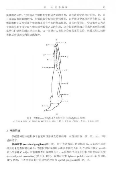中国动物志：无脊椎动物 第五十五卷 软体动物门 腹足纲 芋螺科
